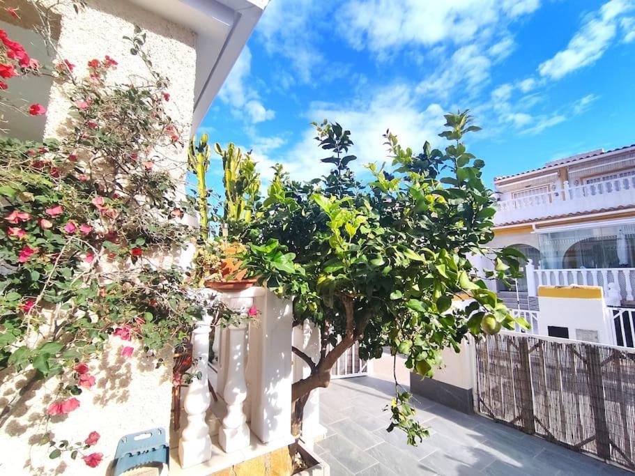 Rincon Mediterraneo Gran Alacant Exteriér fotografie